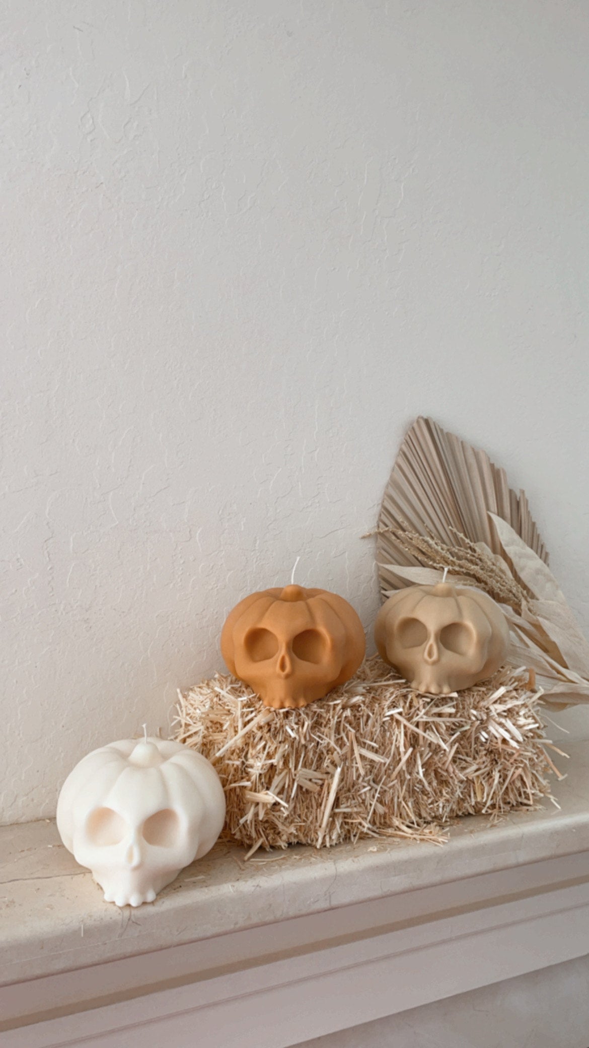 Skull-Kin Gift Set (crème, café & harvest orange)